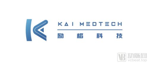 勵(lì)楷科技完成數(shù)億元b輪融資,以通路類產(chǎn)品切入全球神經(jīng)介入市場